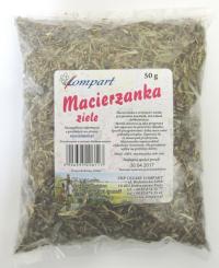 Macierzanka ziele